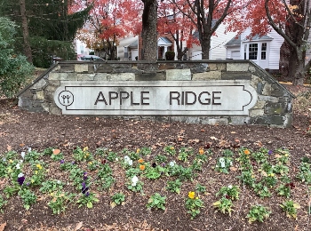 Apple Ridge Homes