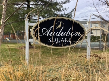 Audubon Square Townhomes