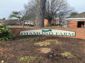 Diamond Farms Townhomes and Condominiums