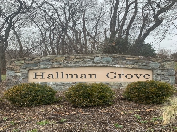 Hallman Grove Homes and Townhomes